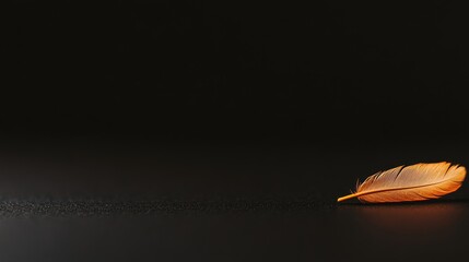Poster - A single white feather is placed on a matte black surface, illuminated by soft light that enhances its intricate texture, leaving space for text on the right