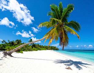 Wall Mural - serene beach scene featuring single palm tree leaning over white sand, with vibrant blue skies and turquoise waters. lush greenery in background adds to tropical paradise feel