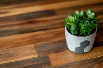 Poster - Modern geometric tiles in matte gray and white create a contemporary backdrop for a potted succulent, adding a touch of greenery to the stylish interior
