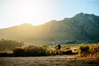 © Moller/peopleimages.com - Bike, sports and view with man in mountains for adrenaline, adventure or training on dirt road. Exercise, fitness and scenic with person cycling in nature for challenge, competition or performance