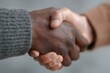 © Andrei - two people from different cultures exchanging handshake against minimalist office background