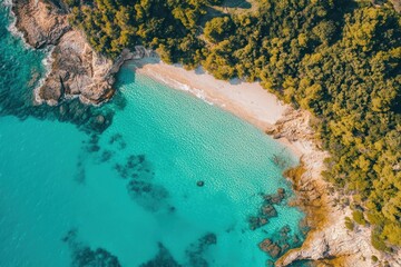 Poster - Aerial View of Turquoise Water Coastline with Sandy Beach and Lush Green Forest in Summer Sunlight