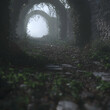 © qois - Mystical stone path through overgrown archway, leading to foggy light; fantasy background, ideal for game design