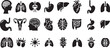 © jobaida - Human organ, anatomy icon set. Vector glyph pictograms of brain, heart, lungs, liver, stomach, intestine, kidney medical, healthcare, and biology concept black silhouette illustration.