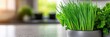 © Brian - photo of chives and parsley growing on kitchen counter