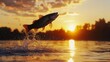 © Alexandr Efimov - Sunset image of fish leaping from calm lake