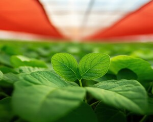 Poster - Regenerative Agriculture Micro-Insights Vibrant Green Seedling Under Precision Greenhouse Canopy - Sustainable Food Innovation and Climate-Resilient Crop Development