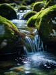 © Quantumo0o - a vertical closeup shot of small waterfall in the foresta forest