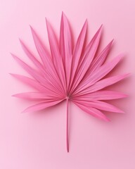 Wall Mural - exquisite pink palm leaf on a soft pink background creating a minimalist tropical vibe with a gentle