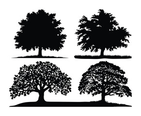 chestnut tree black silhouette collection eps vector design