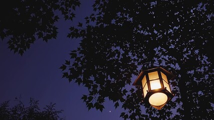 Wall Mural - Warm light emanates from a hanging lantern, casting a gentle glow against the twilight sky and silhouetted leaves