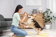 © New Africa - Happy woman training her dog on floor at home