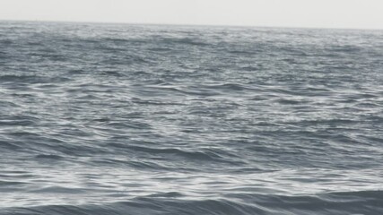 Wall Mural - soft ocean waves rolling gently, creating mesmerizing rhythm across vast blue surface, revealing ser