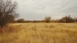 © Nurul - Open field under a cloudy sky