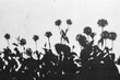 © Janice Rodriguez/Stocksy - Zinnia Garden Shadow