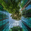 © Natchanok - Urban Canopy Sunlight Through Trees and Glass Buildings Reflecting Sky Above City Center