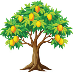 mango tree