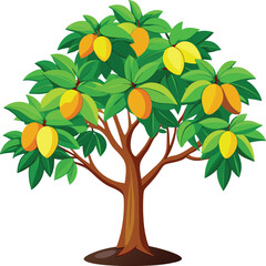 mango tree