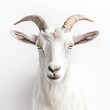 © Yothin - Portrait of a White Goat with Curved Horns on White Background