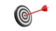 © succsifystd - 3D rendering of a target with a red arrow, suggesting focus and accuracy.  The arrow is positioned directly towards the center of the target. transparent png