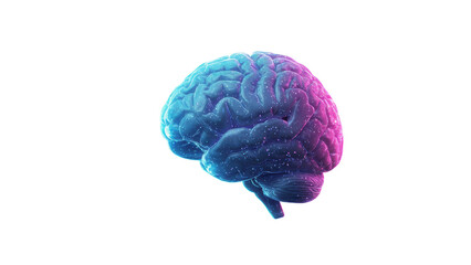 Wall Mural - vibrant digital graphic of a human brain isolated on transparent png