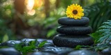 National relaxation day with wellness and spa idea. Stacked stones with a sunflower in a serene setting.