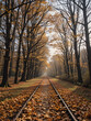 © Michael - autumn, track, tree, leaves, walk