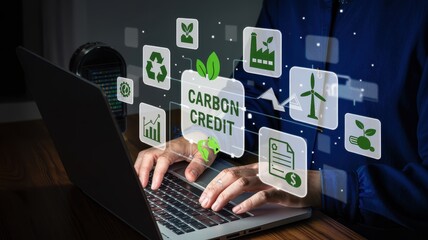 Sustainable business solutions through carbon credit programs.