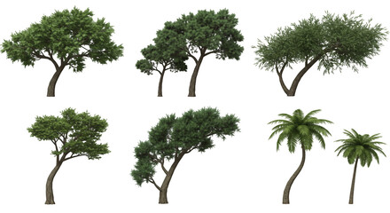 six trees with green foliage isolated on transparent background for design elements and landscaping 