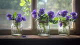 Gentle purple pansies in glass jars on a windowsill.