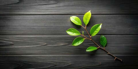 Aufkleber - A slender twig with delicate green leaves rests gracefully on a rustic wooden surface, creating a simple yet elegant natural composition.