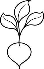 Wall Mural - minimalist beetroot illustration in continuous line art drawing style showing clean lines and natura