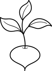 Wall Mural - simple beetroot design created in continuous line art drawing style featuring root vegetable eleganc