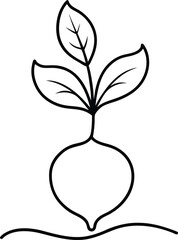 Wall Mural - organic beetroot illustrated using continuous line art drawing style emphasizing simplicity and fres