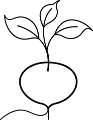 Wall Mural - botanical beetroot sketch in continuous line art drawing style showing detailed root form with minim