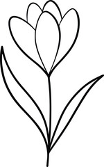 Wall Mural - spring crocus flower illustration in elegant continuous line art style perfect for botanical themed 