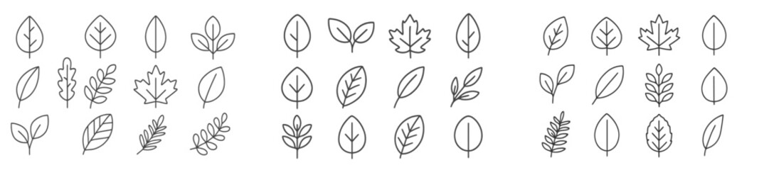Poster - Collection of web icons featuring various leaf designs in line style for nature and gardening themes