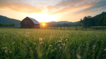 Aufkleber - Tranquil rural scene with a generic building and field bathed in golden sunset light. Serene nature landscape with a wooden fence and distant hills. Lush green grass with wildflowers