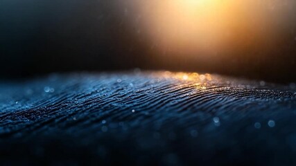 Aufkleber - Close-up macro shot of textured surface with water droplets illuminated by soft golden light and bokeh effects in a dark atmospheric background