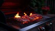 © ADIFERI - Grilled steaks on a gas grill at night