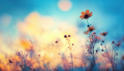 Poster - Orange Flowers in a Meadow with Soft Focus and Dreamy Blue Sky at Sunset Gentle Lighting and Warm Tones Evoking Serenity and Beauty in Floral Landscape