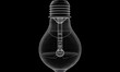 © regulator - Ethereal lightbulb wireframe on stark background