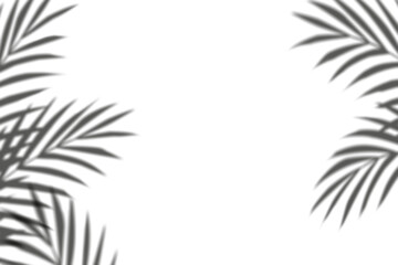 Leinwandbilder - shadow Palm Leaves silhouette ,Blurry Tropical Coconut Leaf Overlay, Element object for Spring Summer, Mock up Product Presentation