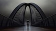 © adniluy - Modern bridge, solitary figure