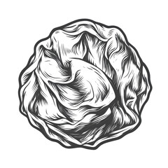 Wall Mural - abstract textural sphere drawing, isolated on transparent space, evokes an organic, dynamic sensibil