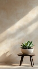 Fototapete - A succulent plant sits elegantly in a round pot on a rustic table, bathed in soft sunlight that highlights its vibrant green against a light backdrop