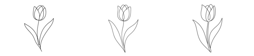Aufkleber - Simple line drawings of tulips showcasing natural beauty in minimalistic art style