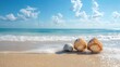 © Umid - Tropical beach with various shells in sand, copyspace for text. Concept of summer relaxation