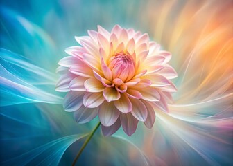 Wall Mural - Long Exposure Petals Line Drawing - Abstract Floral Art Photography