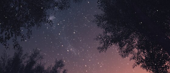 Wall Mural - starry night sky view through tree branches with galaxy and celestial beauty in nature
